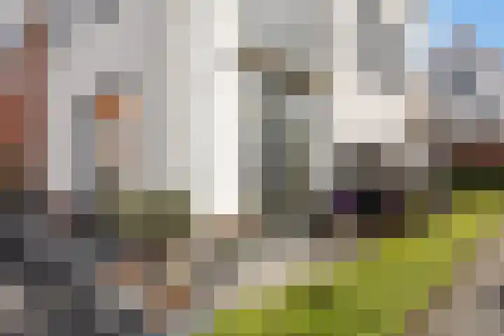 Phoenix 7 Waddinxveen thumbnail 27