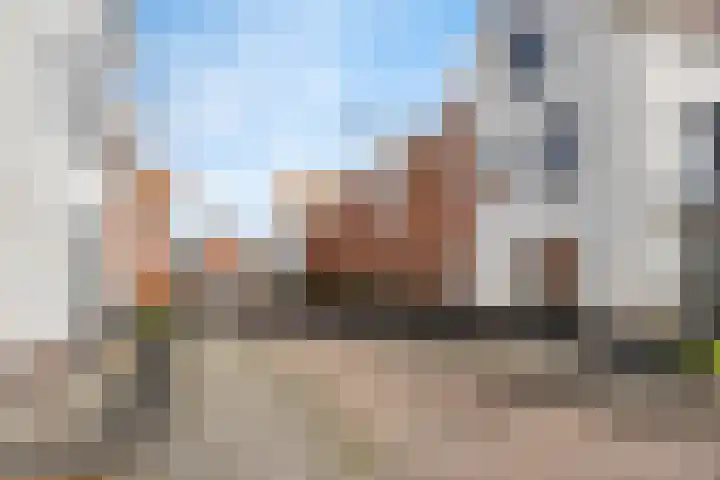 Phoenix 7 Waddinxveen thumbnail 28