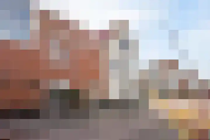 Phoenix 7 Waddinxveen thumbnail 30
