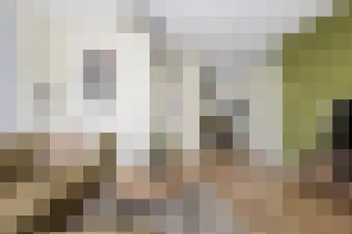 Phoenix 7 Waddinxveen thumbnail 6