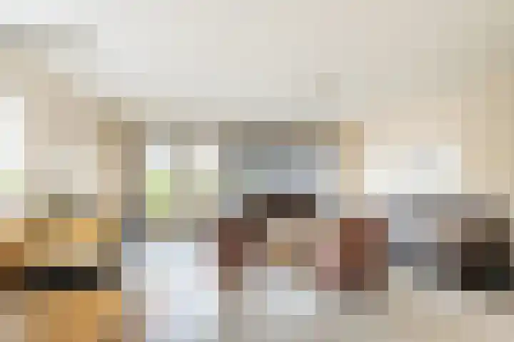 Phoenix 7 Waddinxveen thumbnail 8