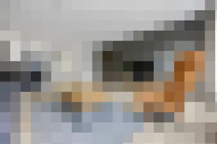 Phoenixlaan 14 Barneveld thumbnail 10