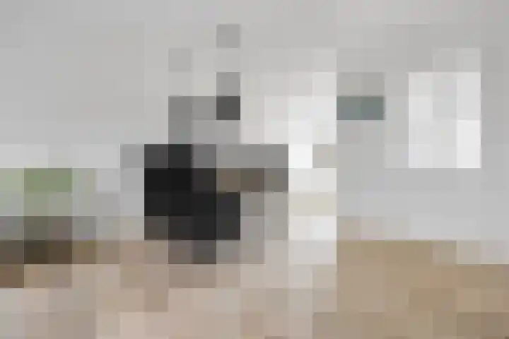 Phoenixlaan 14 Barneveld thumbnail 12