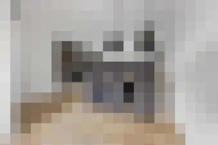 Phoenixlaan 14 Barneveld thumbnail 13