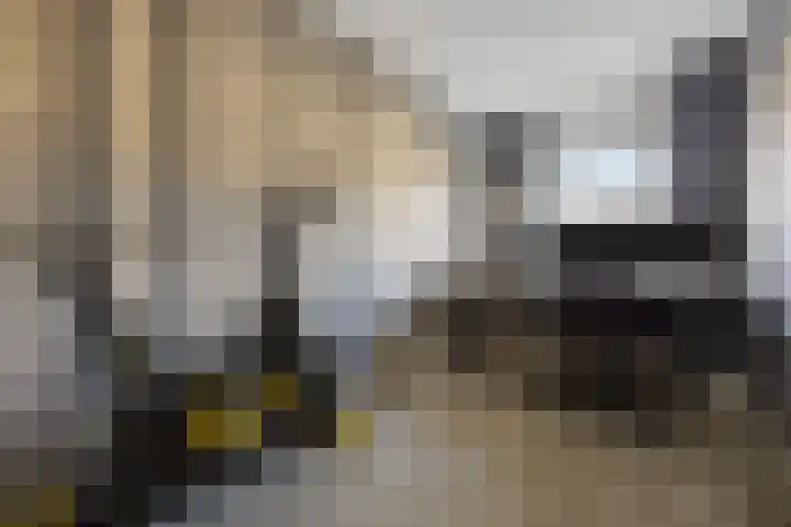 Phoenixlaan 14 Barneveld thumbnail 18