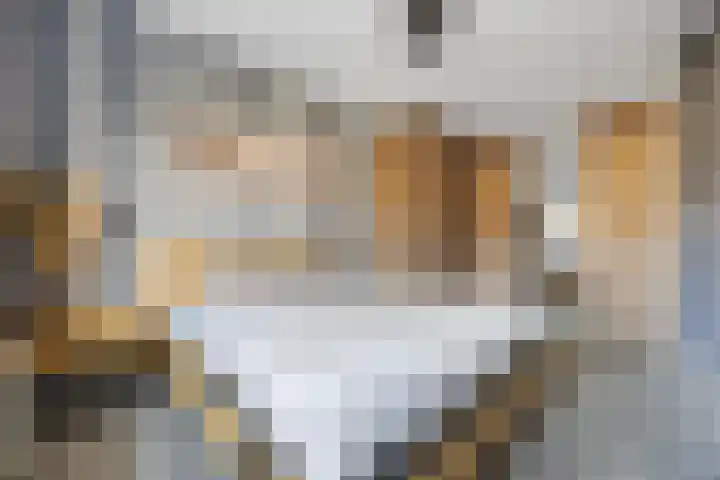 Phoenixlaan 14 Barneveld thumbnail 21