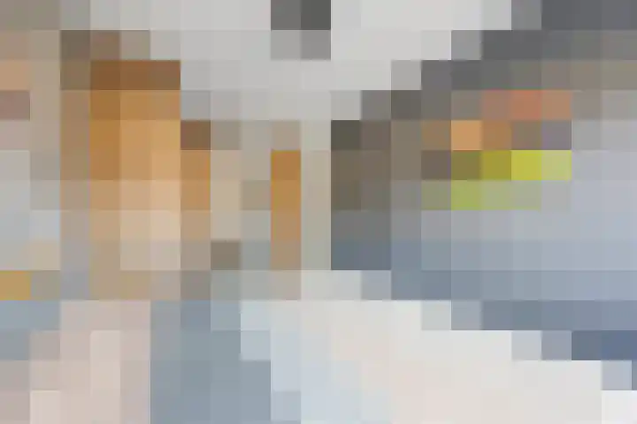 Phoenixlaan 14 Barneveld thumbnail 22