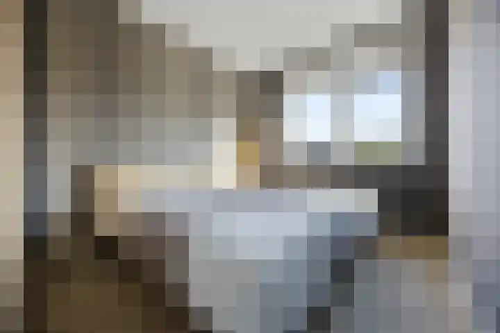 Phoenixlaan 14 Barneveld thumbnail 23