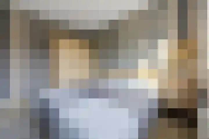 Phoenixlaan 14 Barneveld thumbnail 24