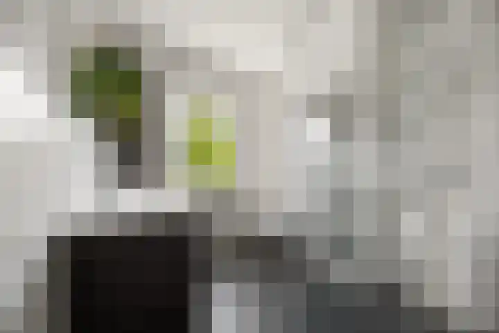 Phoenixlaan 14 Barneveld thumbnail 25