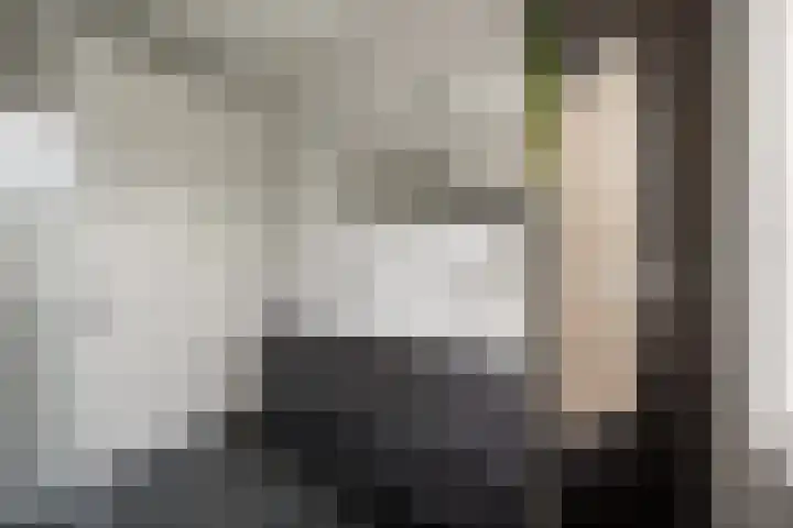 Phoenixlaan 14 Barneveld thumbnail 27