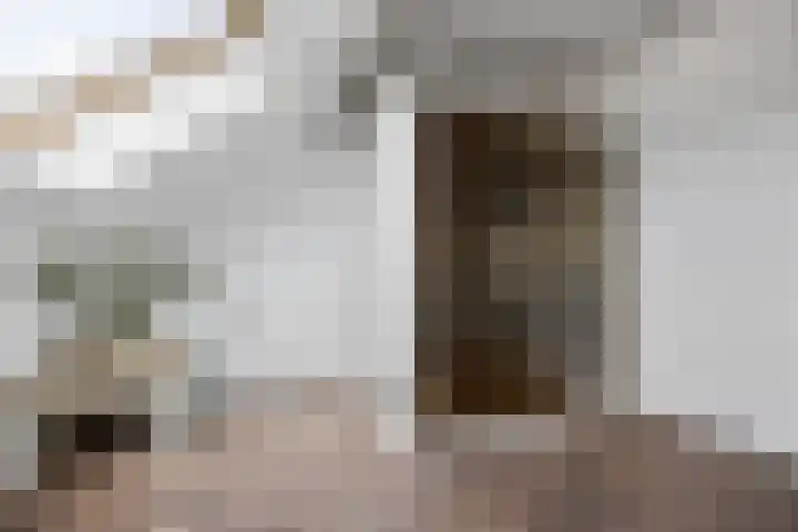 Phoenixlaan 14 Barneveld thumbnail 31