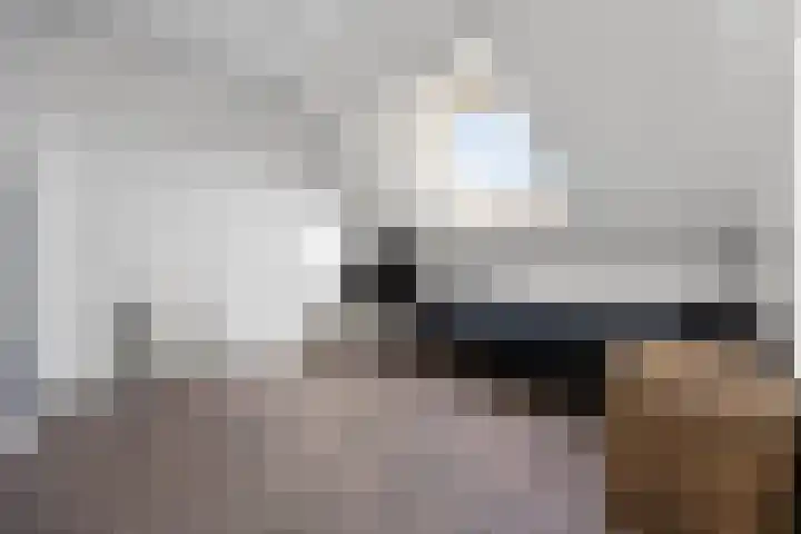 Phoenixlaan 14 Barneveld thumbnail 32