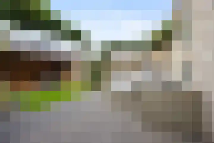 Phoenixlaan 14 Barneveld thumbnail 34