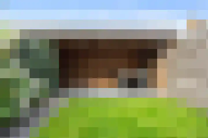 Phoenixlaan 14 Barneveld thumbnail 36