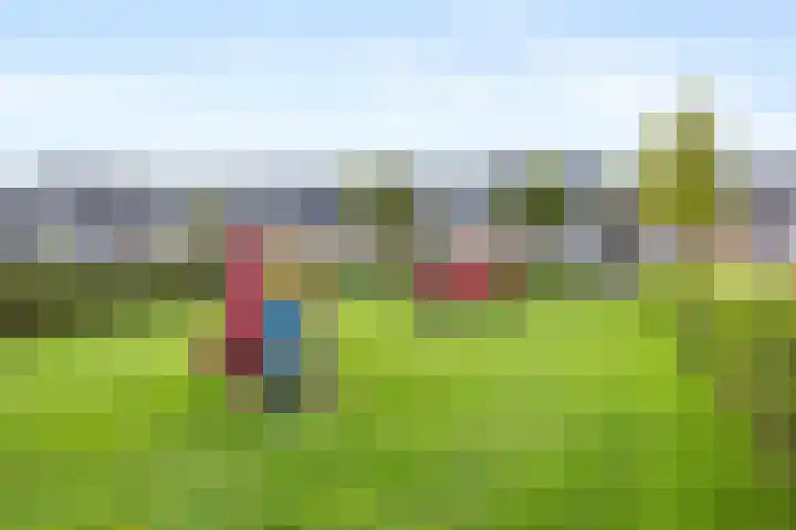 Phoenixlaan 14 Barneveld thumbnail 40