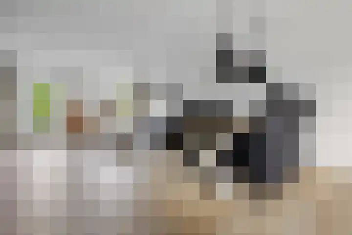 Phoenixlaan 14 Barneveld thumbnail 7