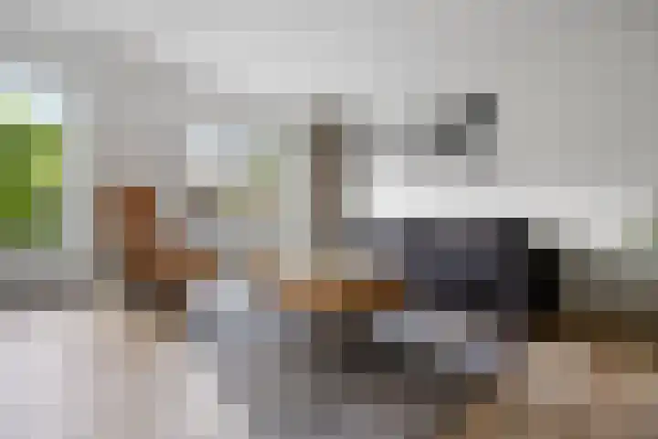 Phoenixlaan 14 Barneveld thumbnail 8