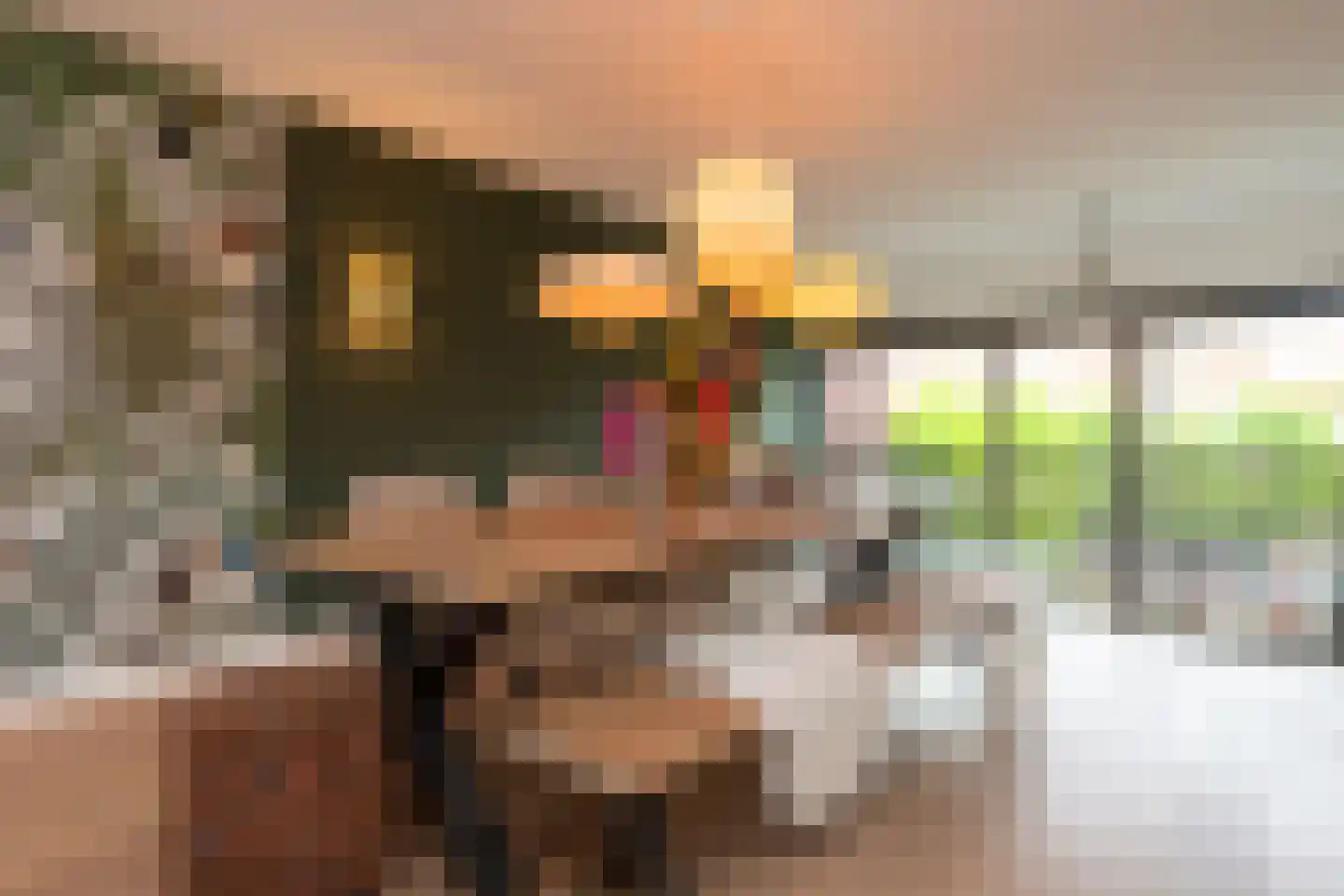 Phoenixplaats 1 Tilburg thumbnail 22