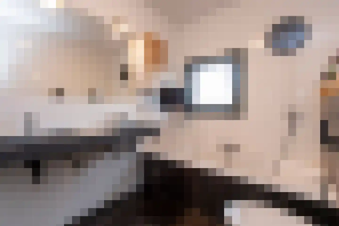 Phoenixplaats 1 Tilburg thumbnail 34