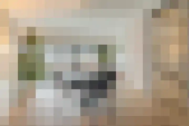Phoenixplaats 11 Tilburg thumbnail 13