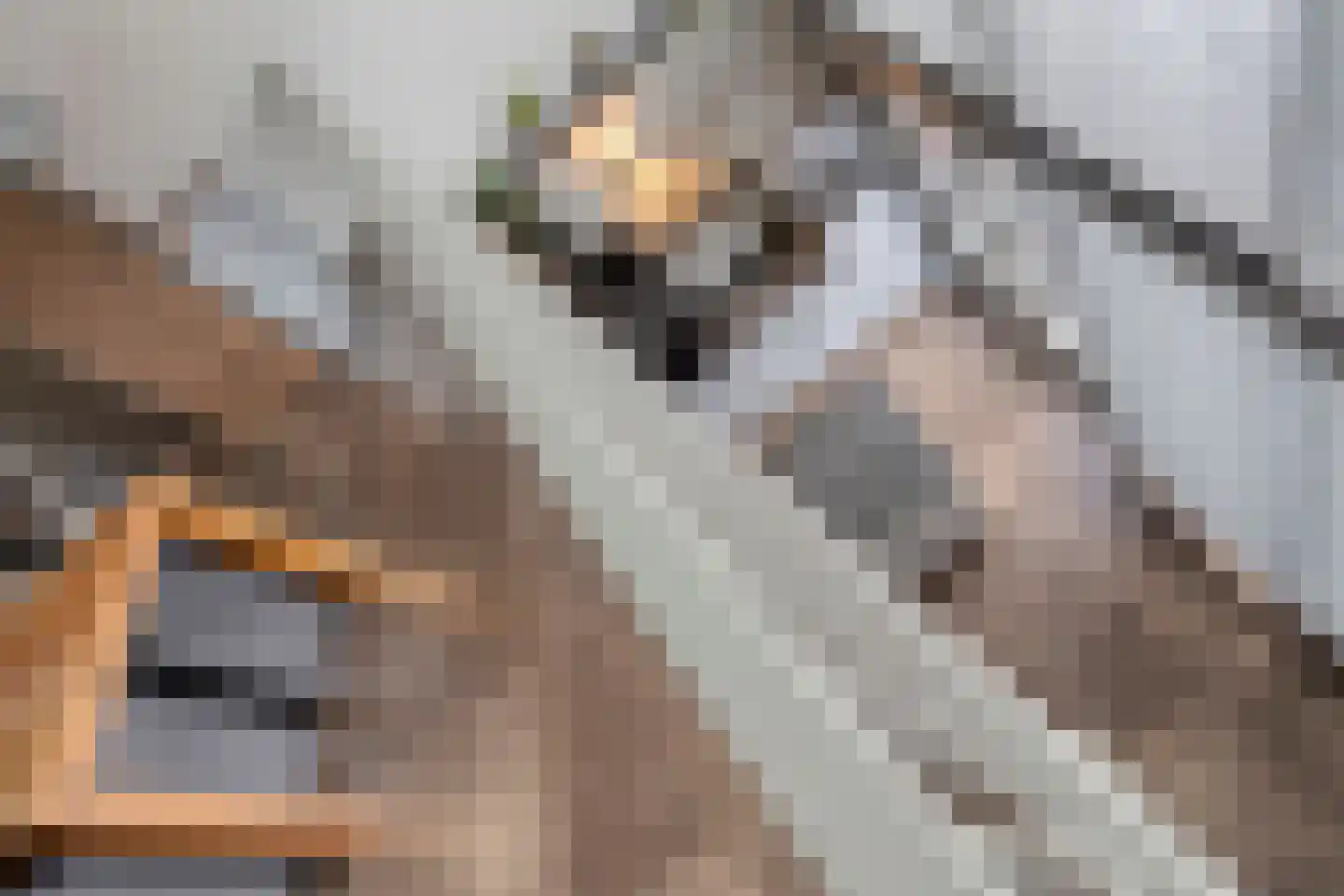 Phoenixplaats 14 Tilburg thumbnail 17
