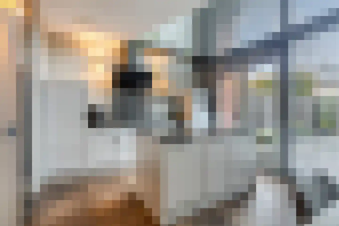 Phoenixplaats 14 Tilburg thumbnail 5