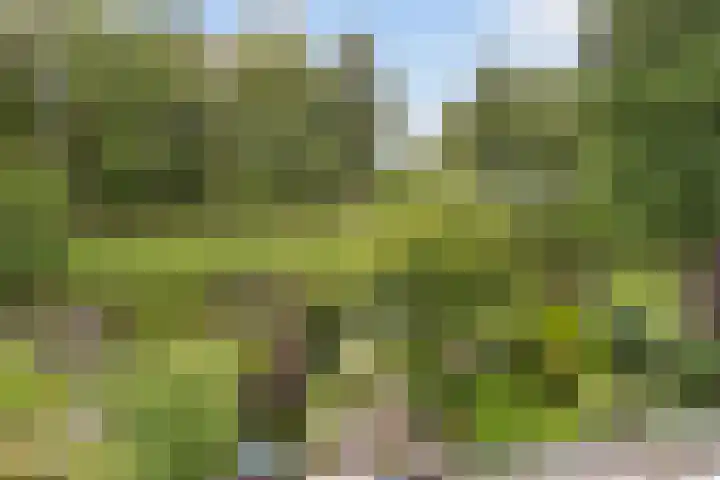 Phoenixring 15 Dordrecht thumbnail 22