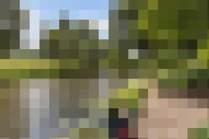 Phoenixring 15 Dordrecht thumbnail 26