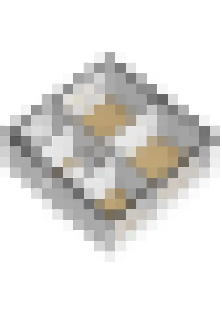 Phoenixring 15 Dordrecht thumbnail 33