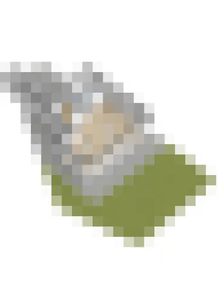 Phoenixring 15 Dordrecht thumbnail 37