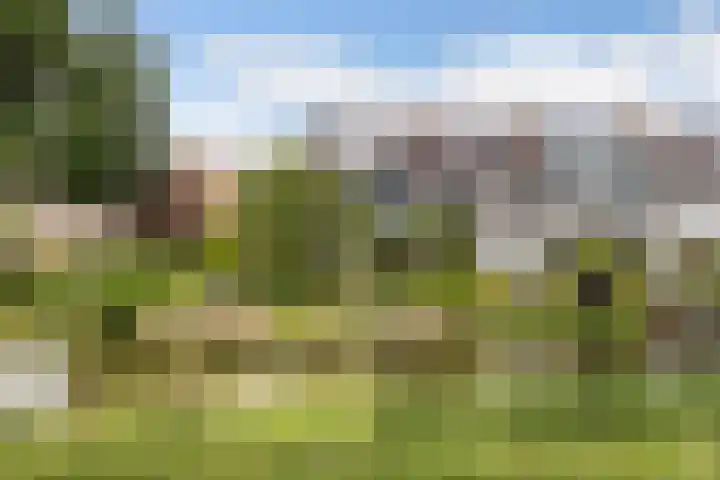 Phoenixring 15 Dordrecht thumbnail 38