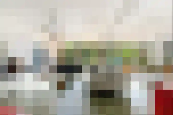 Phoenixring 15 Dordrecht thumbnail 5