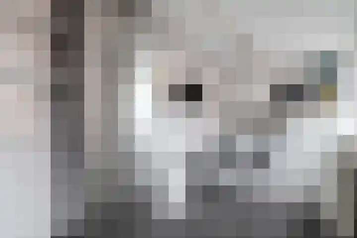 Phoenixstraat 12 Wijster thumbnail 16