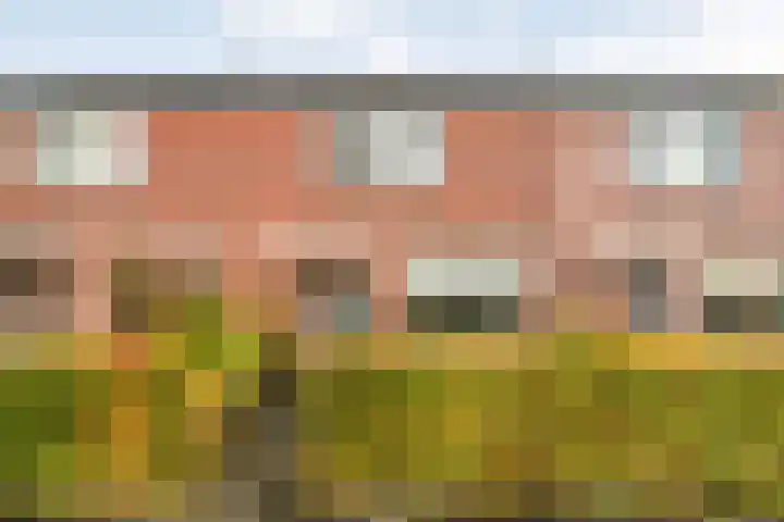 Phoenixstraat 12 Wijster thumbnail 5