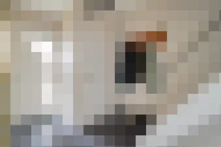 Phoenixstraat 12 Wijster thumbnail 7