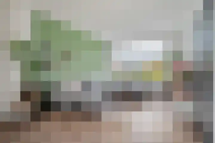 Phoenixstraat 12 Wijster thumbnail 9
