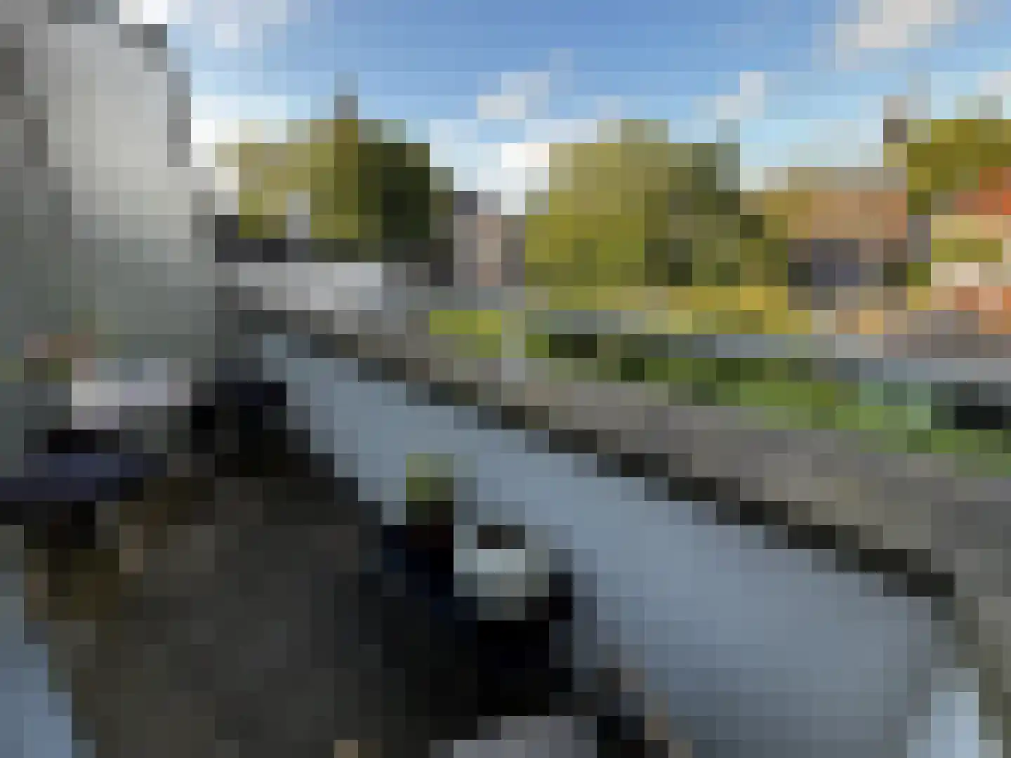 Phoenixstraat 20 Delft thumbnail 17