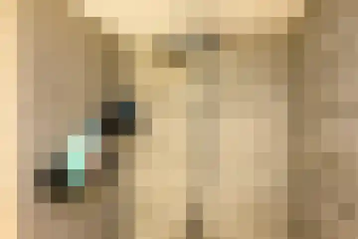 Phohistraat 32 Huizen thumbnail 12