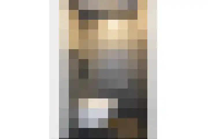 Phohistraat 32 Huizen thumbnail 13