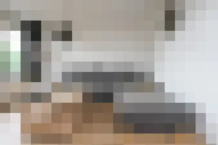 Phohistraat 32 Huizen thumbnail 22