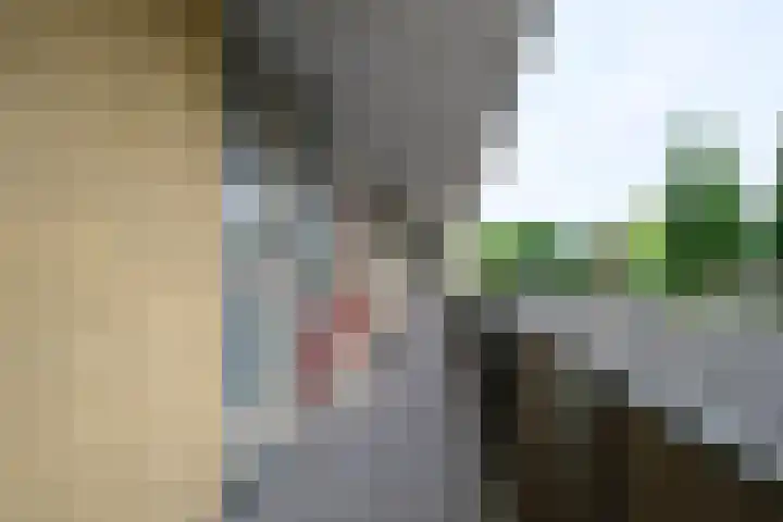 Phohistraat 32 Huizen thumbnail 24