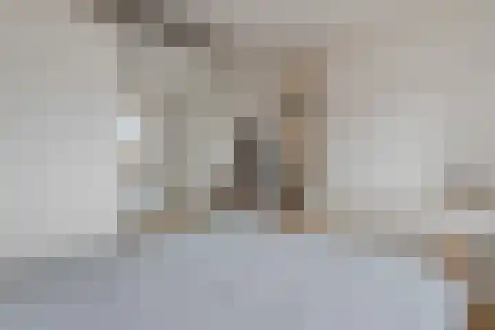 Phohistraat 44 Huizen thumbnail 14