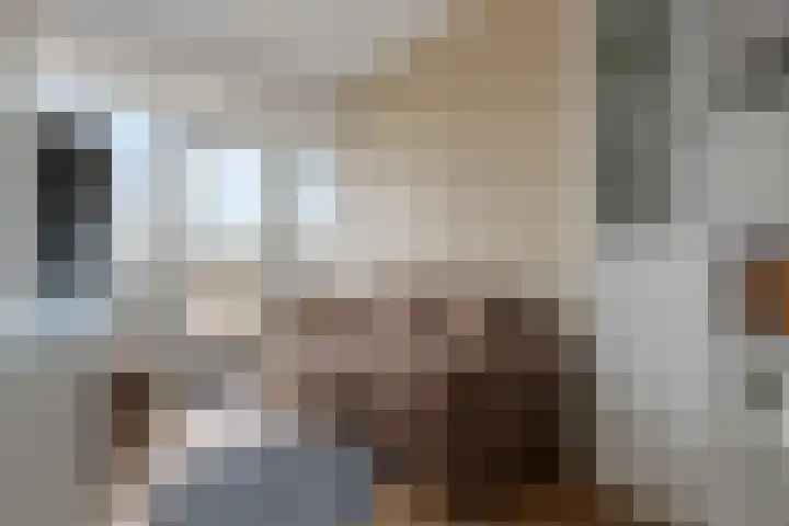 Phohistraat 44 Huizen thumbnail 15