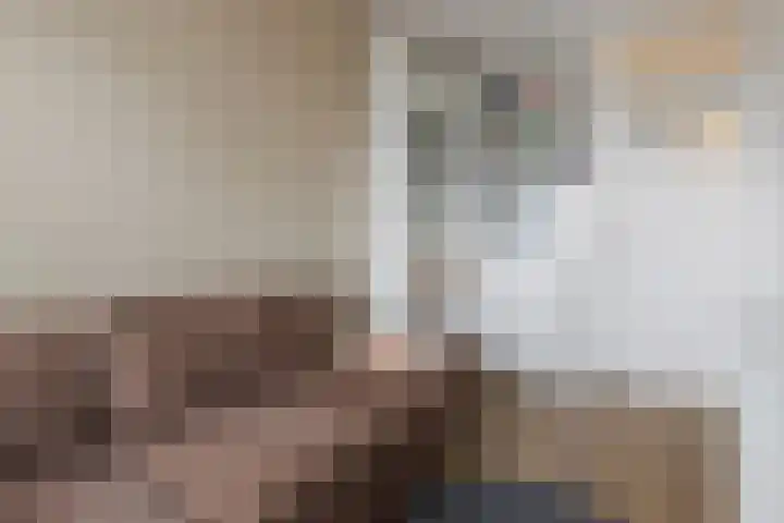 Phohistraat 44 Huizen thumbnail 16