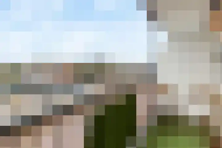 Phohistraat 44 Huizen thumbnail 22