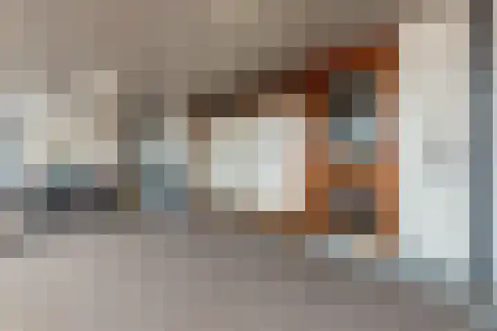 Phohistraat 44 Huizen thumbnail 27