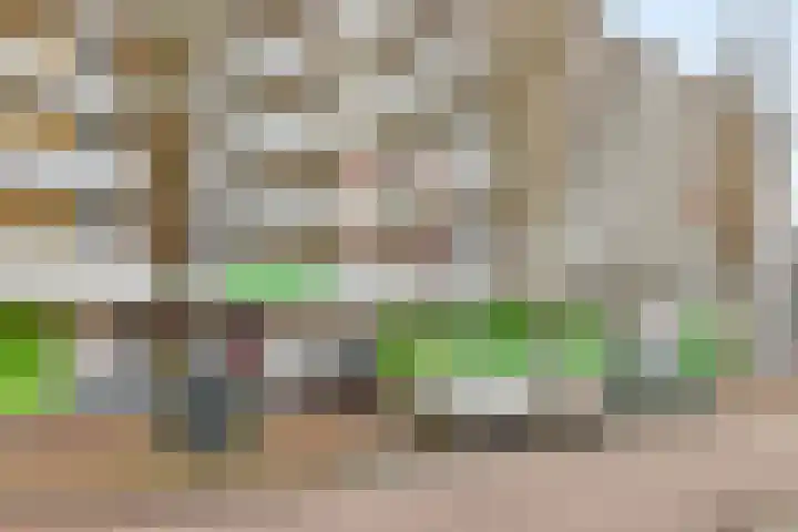 Phohistraat 44 Huizen thumbnail 30
