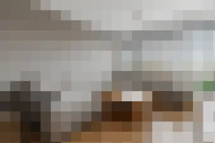 Phohistraat 44 Huizen thumbnail 5
