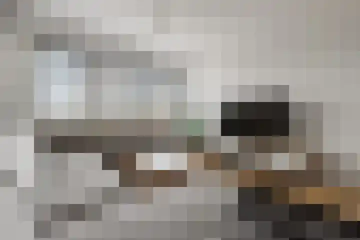 Phohistraat 44 Huizen thumbnail 6